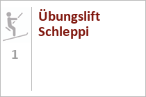 Der Schlepper Thalerkogellift.  • © Ski Juwel Alpbachtal Wildschönau