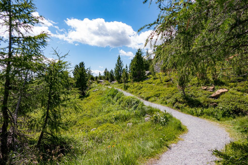 Schön gelegen - Der schön angelegte Weg ist breit genug für einen Kinderwagen und leicht zu begehen. - © alpintreff.de - Silke Schön