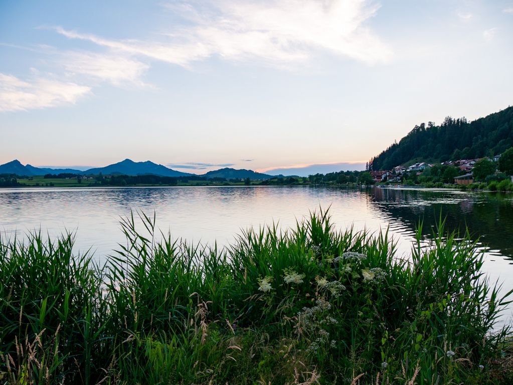 Hopfensee - Aussichten... - © alpintreff.de - Christian Schön