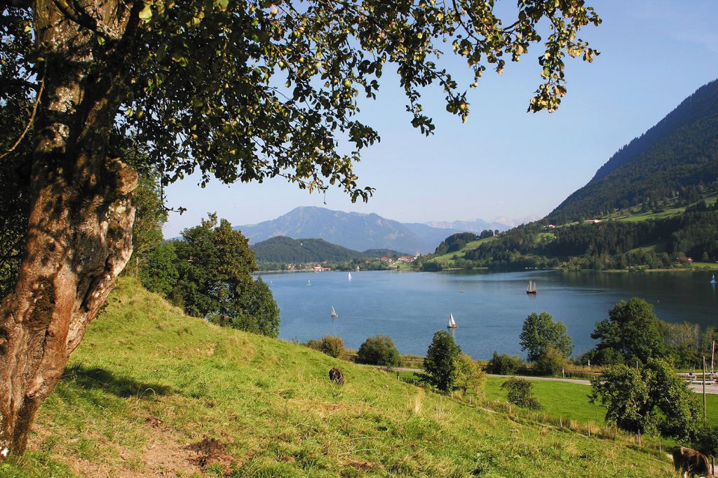 Was tun am Großen Alpsee? - Er bietet alle (Sport-) Möglichkeiten, die das Urlauberherz begehrt: schwimmen, segeln, surfen, kiten (sehr gute Windverhältnisse vor Ort) paddeln, Du kannst Tretboote und auch Ruderboote leihen, Minigolf spielen oder einfach nur dort liegen und die Sonne genießen. - © Alpsee Immenstadt Tourismus